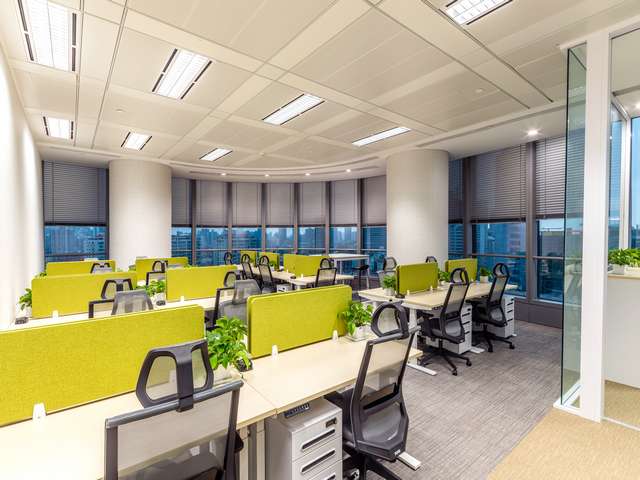 上海高浓度海藻肥改善土壤